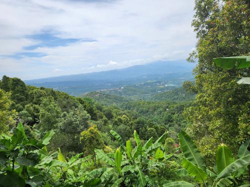 Golden Valley Waterfall